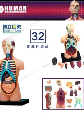 人体器官解剖拼装模型大脑内脏肌肉骨骼医学教学DIY玩具4DM.ASTER