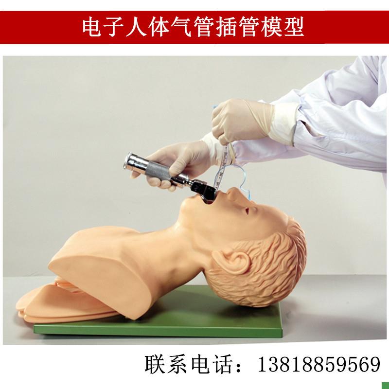 电子人体气管插管模型(牙齿受压报警)成人电子S气管插管教学模型