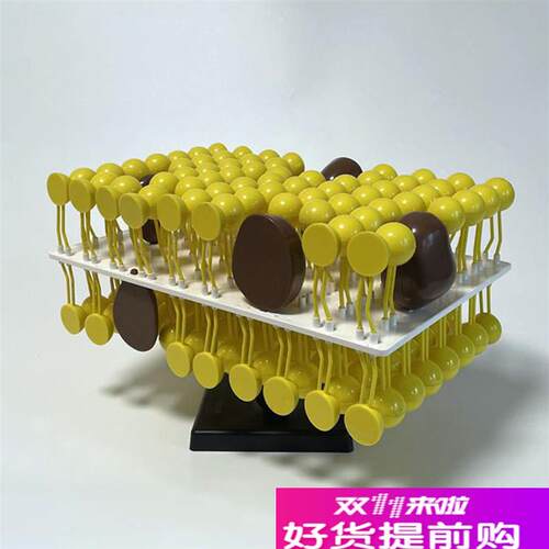 细胞膜流动镶嵌模型生物u课教具高中实验器材生物膜结构蛋白质