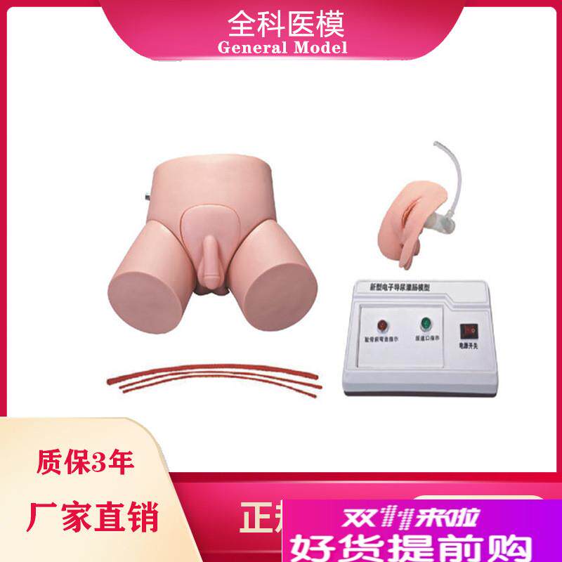 电子导尿灌肠教学实习模u型男女护理导尿训练操作模具教学仪器