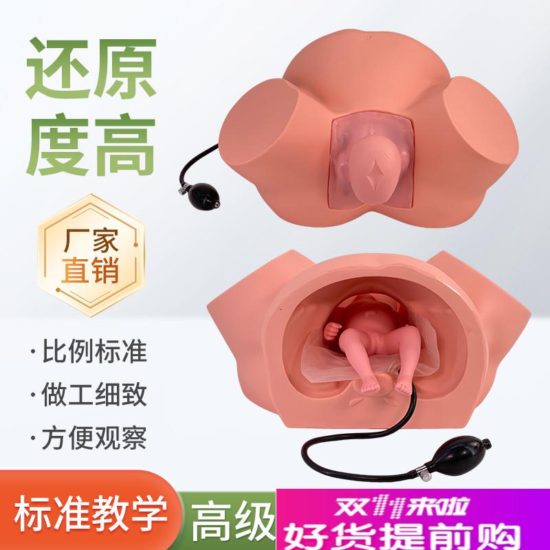 高级助产训练模型妇产科分娩x模型产科教学模具助产士培训难产示