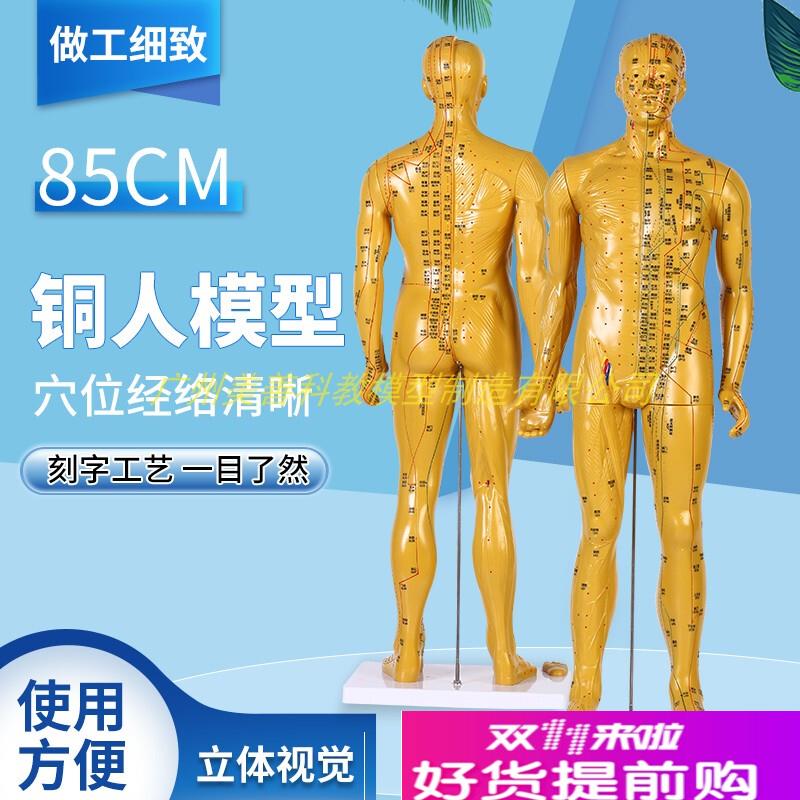 85cm超d清晰经络通针灸铜人体穴位模型中医针灸人体模型十二经络