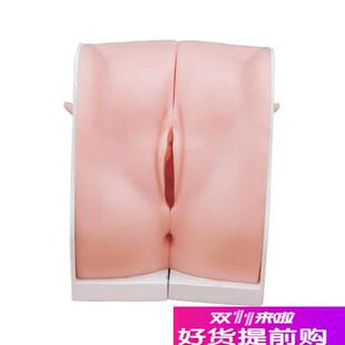 妇科避孕指导模型M上环练习模具