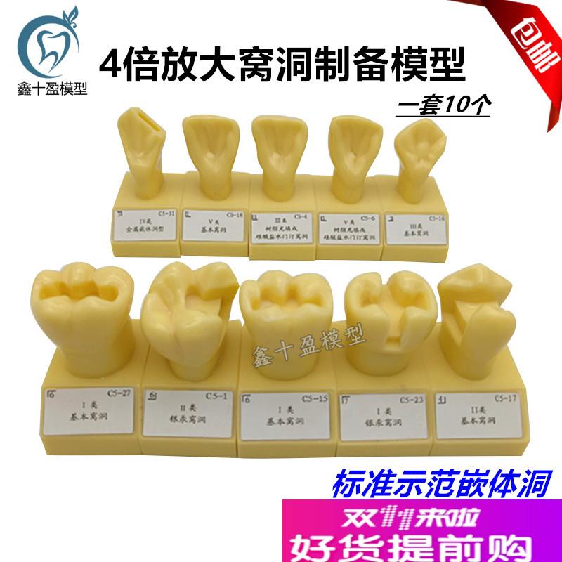 牙科口腔模e型E4倍大窝洞制备模型备牙牙粒单色备牙标准示范模型