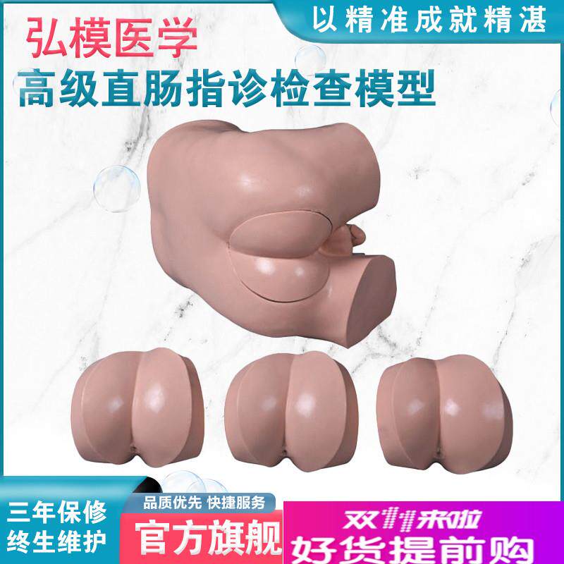 弘模HOM/LV39高级直肠指诊检A查模型前/列腺触诊模型肛门检查模型