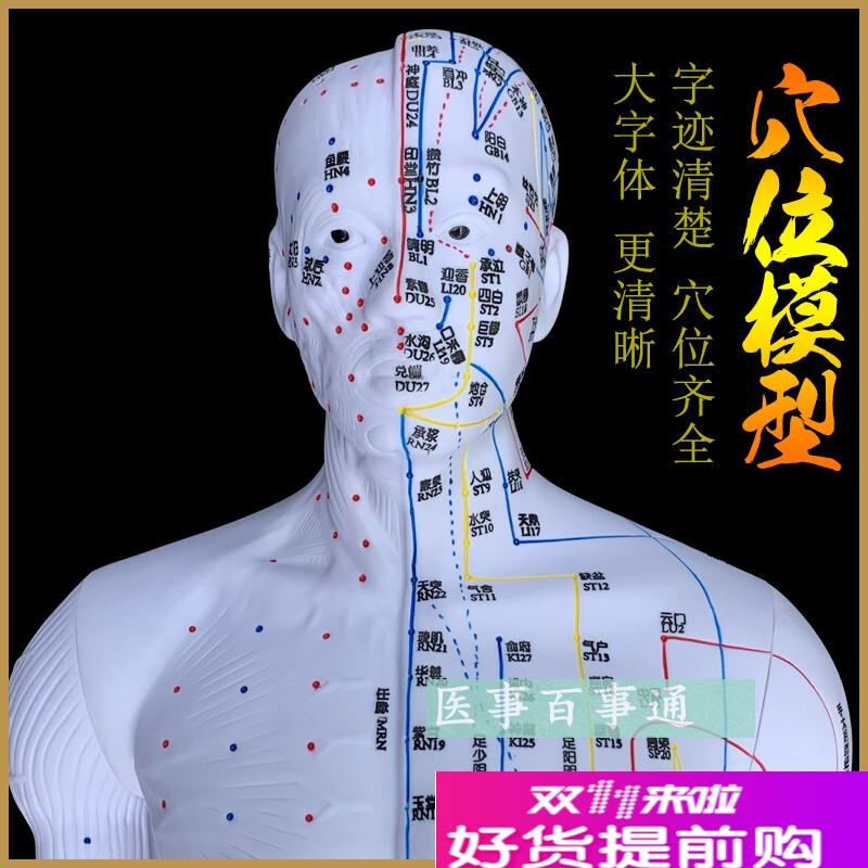 中医针灸穴位图人体模型85cm男模型清晰经络R小人体针灸穴位模具