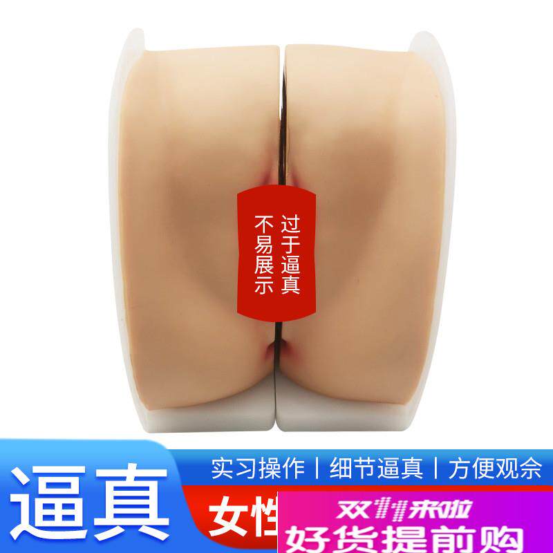 女性生殖器模型宫颈子宫阴道y卵巢妇科检查生殖私密教学1比1