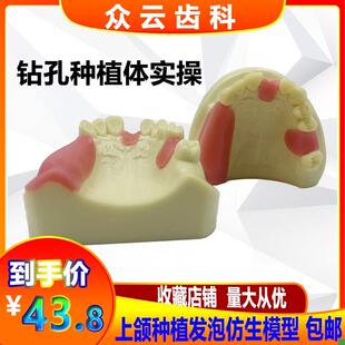 牙科上颌窦提升操练模型种植牙练C习模型口腔种植软牙龈齿科材料