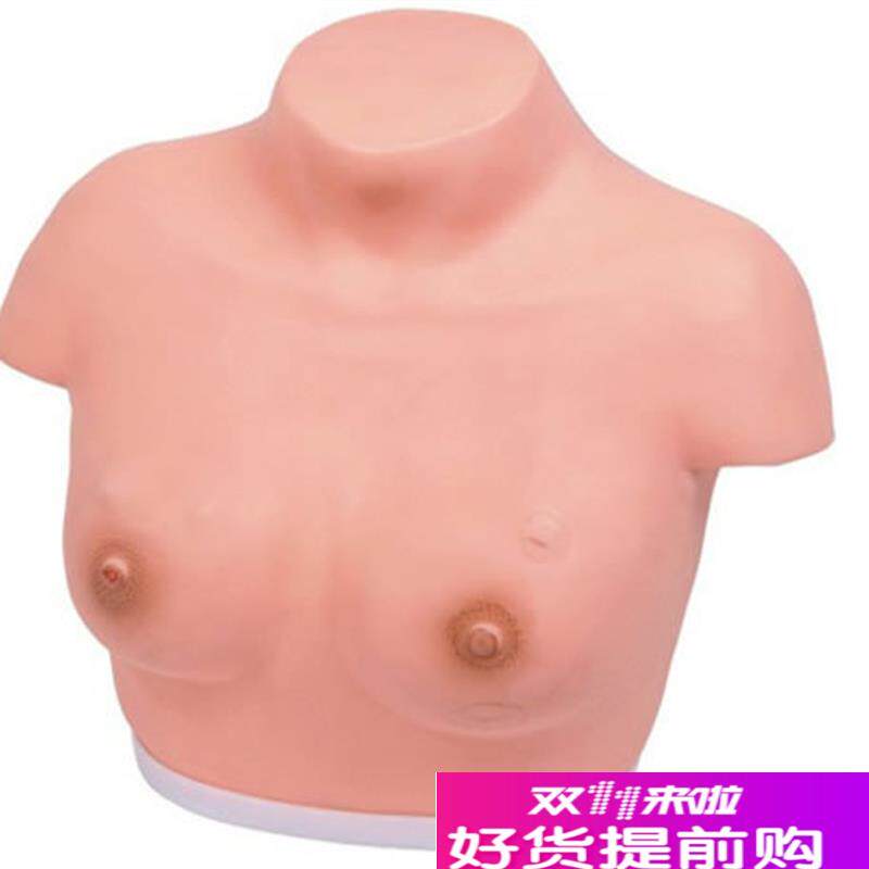 女性乳房乳腺检查模w型高级乳腺视诊与触诊模型