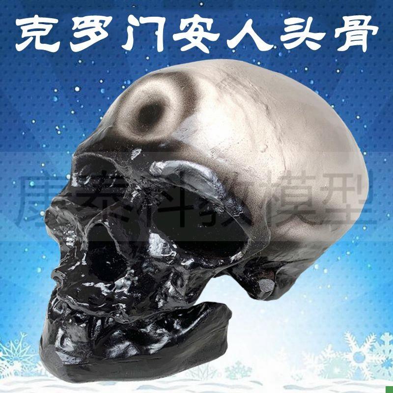 克罗门安人头骨模型仿p真古代猿人类骨髅博物摆件影视道具美术艺
