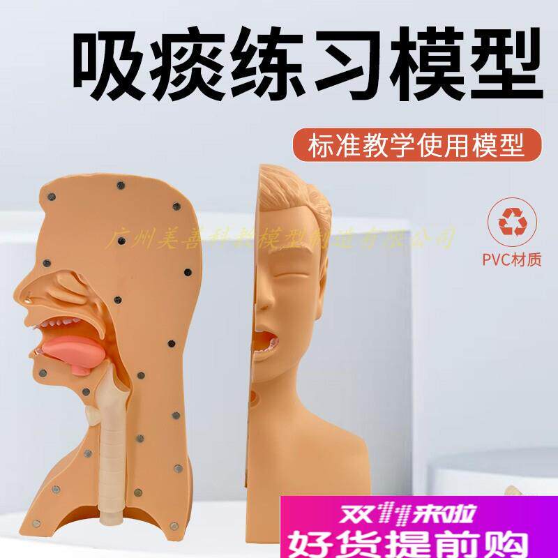 高级吸痰练习模型鼻腔口腔插管吸引训练模型医学用Y操作教学模型