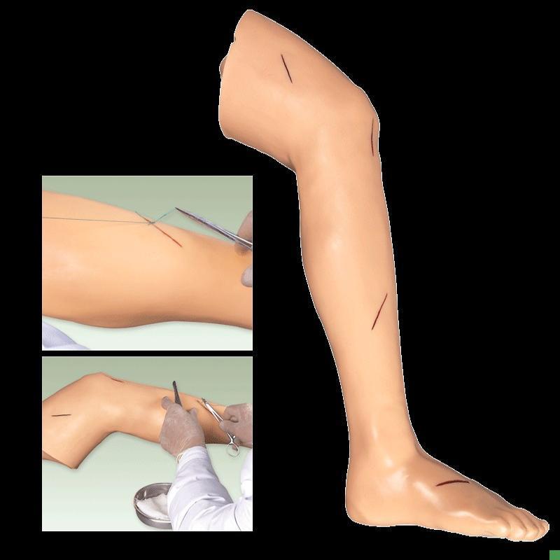 高级外科缝j合下肢模型GD/LV2