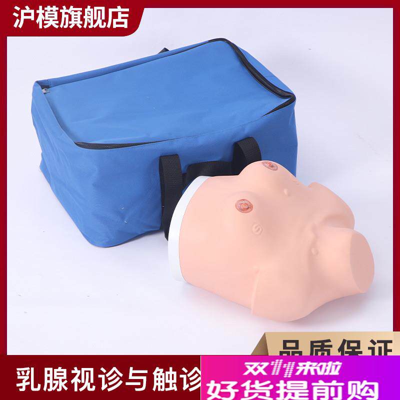 沪模HM/F7BZj乳腺视诊与触诊模型女性乳房乳腺检查模型视诊与触诊