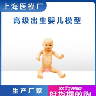 女婴任选柔软型 FT3 男婴 家政培训教d学模型全身出生婴儿模型
