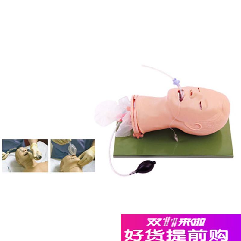 经典成人气管插管模型