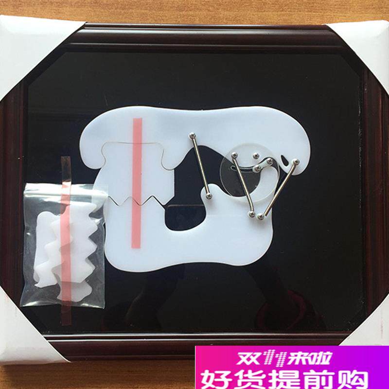 牙齿教学训练演示板牙D科牙颌关节咬合示教板