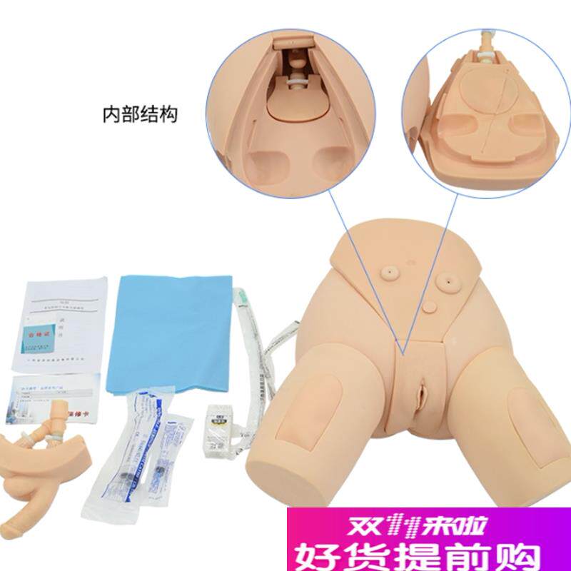 下半身导d尿护理模型整体导尿培训模型男女性导尿模型