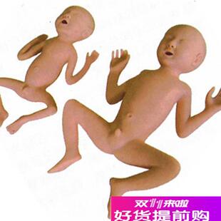 高级24周早产儿模型