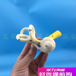 人体耳朵半规h管耳蜗模型半规管解剖模型内耳耳模型耳迷路模型