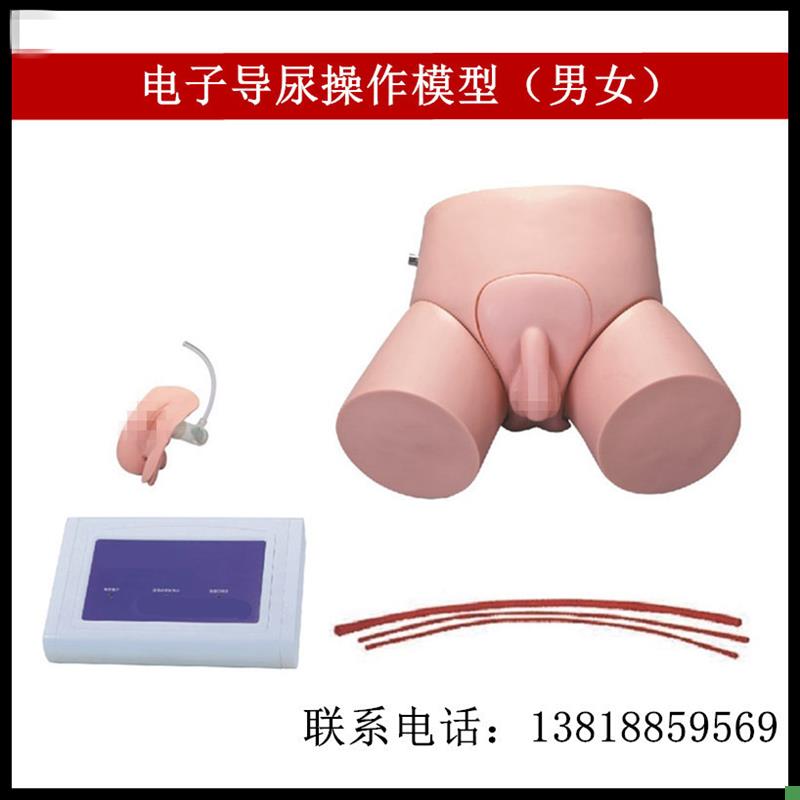 电子男性导尿操q作模型电子女性导尿操作模型