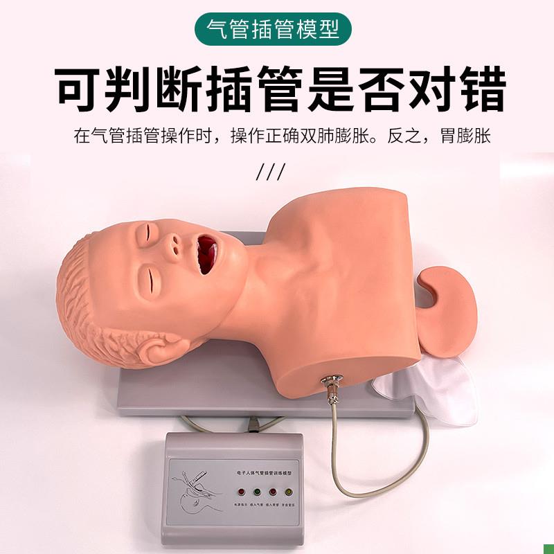 成人气管插管培训模型电子人y体气管插管训练模型牙齿受压报警