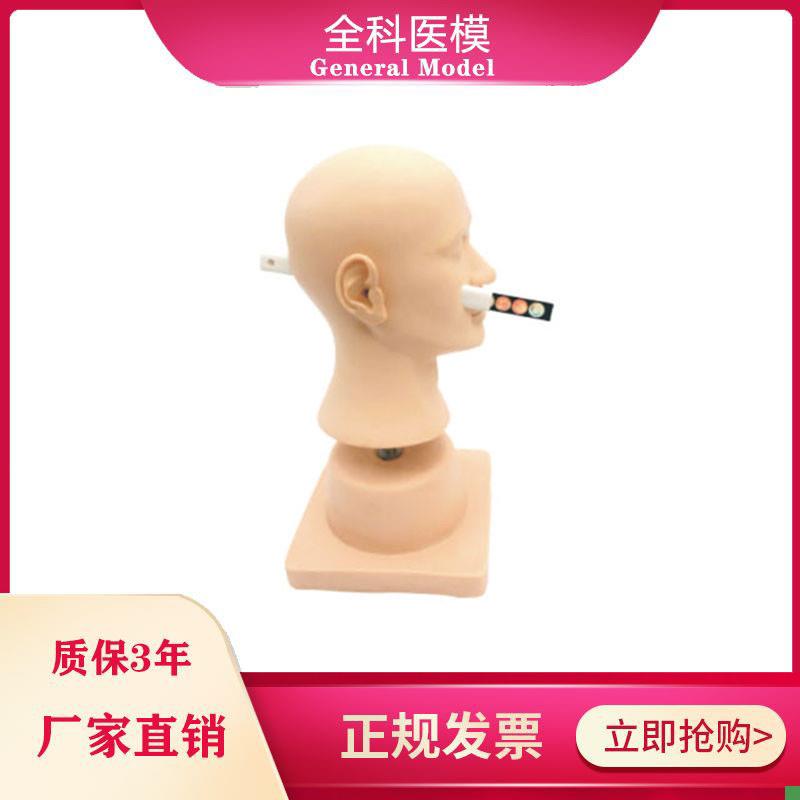 高级耳诊断模型正常病y变的鼓膜模块耳内检查模型
