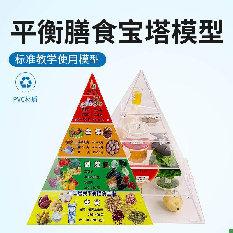 2022新版中国居民平衡膳食x宝塔模型仿真食物营养金字塔交换份模