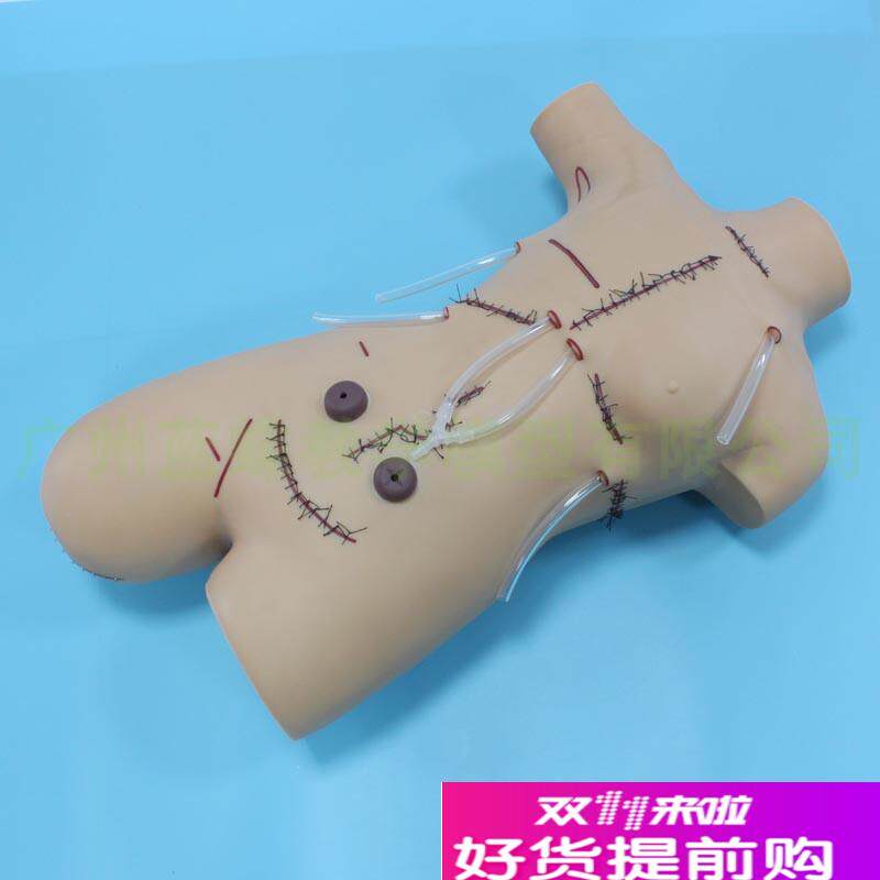 外科缝合包扎展示k模型清创训练模型切开缝合演示拆线换药训练模