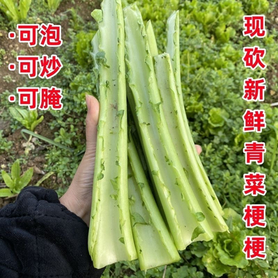 新鲜青菜梗头江西农家棒棒菜芥菜兜兜菜大叶青菜菜心菜梗青菜苔