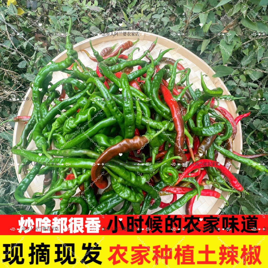 现摘江西特产新鲜秋辣椒农家露天中辣香辣薄皮青线椒蔬菜拔树辣椒,水产肉类/新鲜蔬果/熟食,辣椒,淘宝优惠券,粉丝福利购,淘宝优惠卷