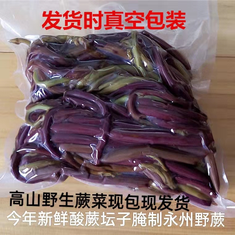 酸蕨菜永州深山野生酸菜野菜贵州龙爪当季新鲜蕨自制无添加500g