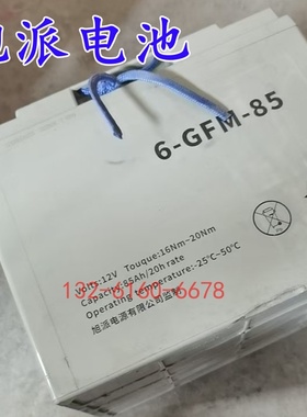 旭派电源6-GFM-85电动叉车电池12V65AH托盘搬运车6V200AH堆高车用