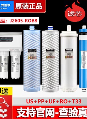 安吉尔净水器滤芯A4/A6/A8/V6/2605/J2305/J1205/J2375/1105/滤芯