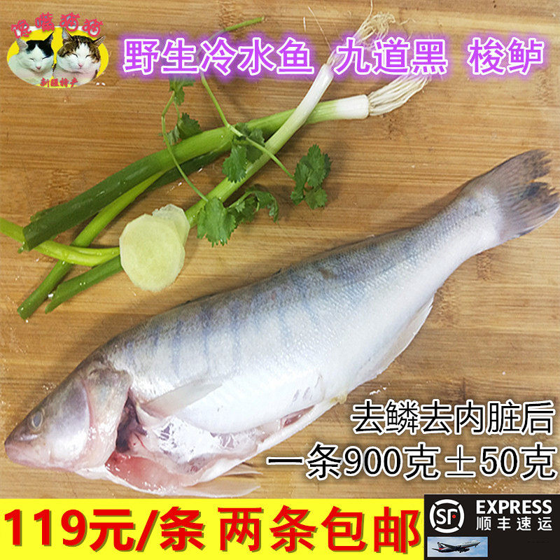 新疆福海冷水鱼 新鲜现宰 梭鲈鱼九道黑 每条900g左右 拍两条包邮