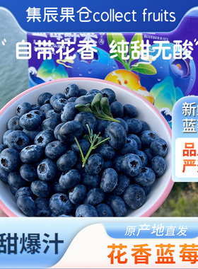 【顺丰空运】云南抚仙湖L25花香蓝莓新鲜采摘孕妈水果花香脆甜