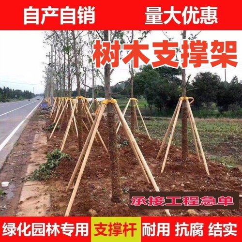 树苗行道树架杆扶正加厚支架三角架园林杉木苗木树木支撑固定器