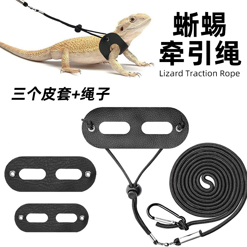 蜥蜴专用套装牵引绳鬃狮溜守宫爬宠外出牵引绳绳胸背翅膀宠物绳