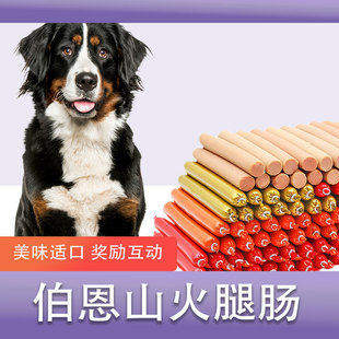 伯恩山犬专用火腿肠零食幼犬成犬宠物狗狗吃的大型犬训练互动奖励