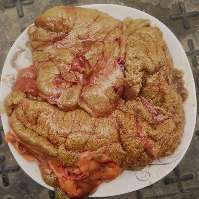 湖北鱼米之乡 新鲜鲤鱼籽鱼白纯鱼籽 鱼卵 鱼蛋 食用冷冻水产500g