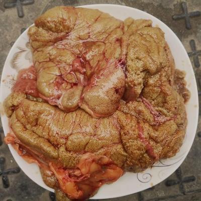 湖北鱼米之乡 新鲜鲤鱼籽鱼白纯鱼籽 鱼卵 鱼蛋 食用冷冻水产500g