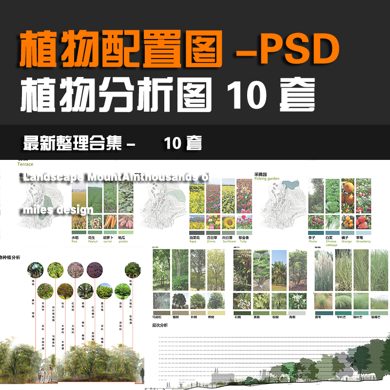 74景观公园植被绿化灌木花乔木湿地分析图文本排版板式PSD文件