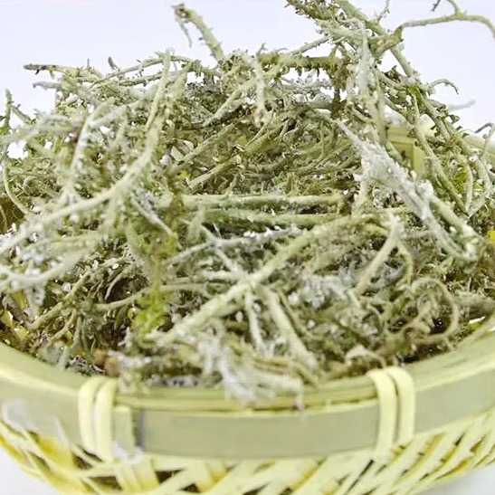 甘南鹿角菜高海拔山野菜石花菜鹿个菜干货甘南特产凉拌菜