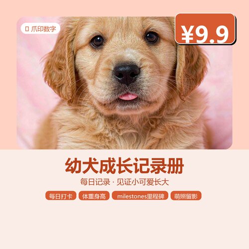 幼犬0-12月疫苗狂犬驱虫体重记录10表Excel可编辑