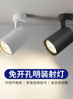 明装射灯可调角度单个家用小吸顶式轨道灯聚光射灯LED天花灯筒灯