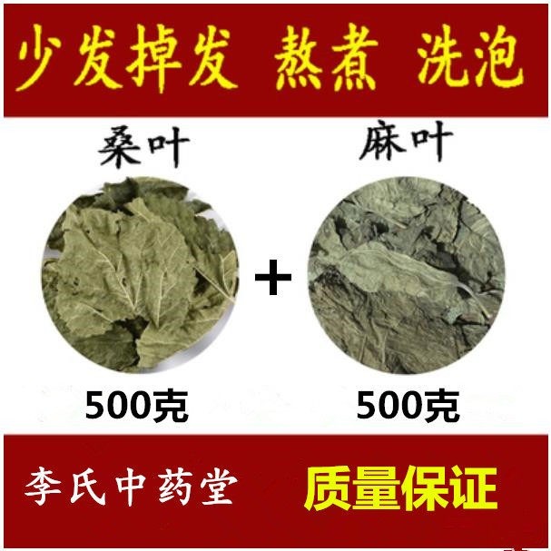 桑叶和麻叶组合加干麻叶桑叶新鲜非生发煮水洗头洗发原料