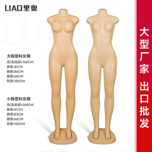 厂家塑料女模特 mannequins 便宜畅销非洲南美大胸女PE模特Dummy