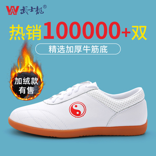 八段锦太极拳练功运动鞋 武士龙太极鞋 武术鞋 秋冬男款 女牛筋底新款