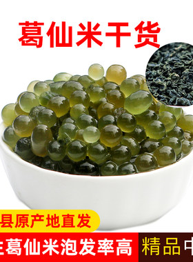 葛仙米精品晒干中颗粒