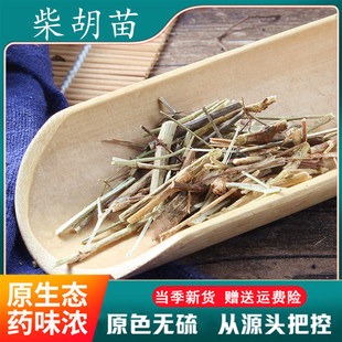 柴胡枝500克 北柴胡苗 中草药材一站式购销供应 1斤包邮