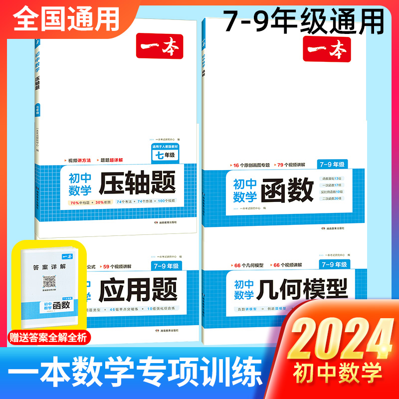 2024版一本初中数学专项训练